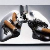 Факты о табаке