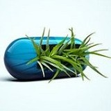 Британцы намерены экономить на наркоманах и алкоголиках.