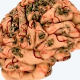 Влияние алкоголя на нервную систему