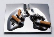 Факты о табаке