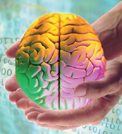 Найдена связь между интеллектом и продолжительностью жизни