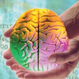 Найдена связь между интеллектом и продолжительностью жизни