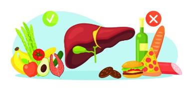 Алкоголь и ожирение