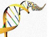 МикроРНК могут играть существенную роль в генетике курения