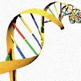 МикроРНК могут играть существенную роль в генетике курения