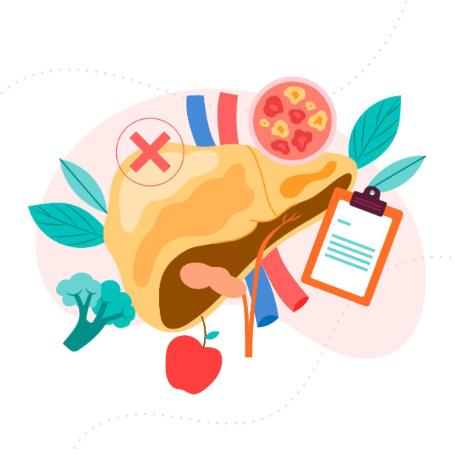 Нарколог рассказал, как алкоголь влияет на печень