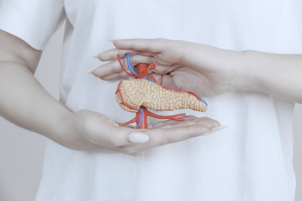 Картинка поджелудочная железа.png